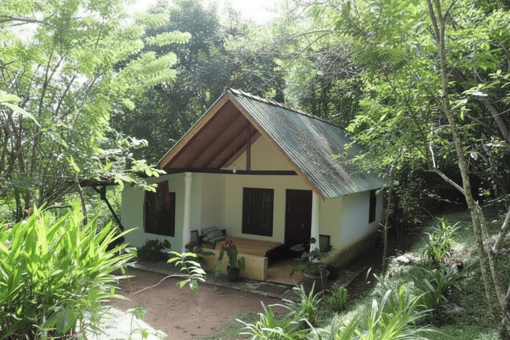 Family homestay in Cuc Phuong National Park surrounded by forest, immersed in nature